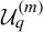 upper U Subscript q Superscript left parenthesis m right parenthesis