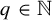 q element of double struck upper N