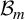 upper B Subscript m