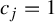 c Subscript j Baseline equals 1