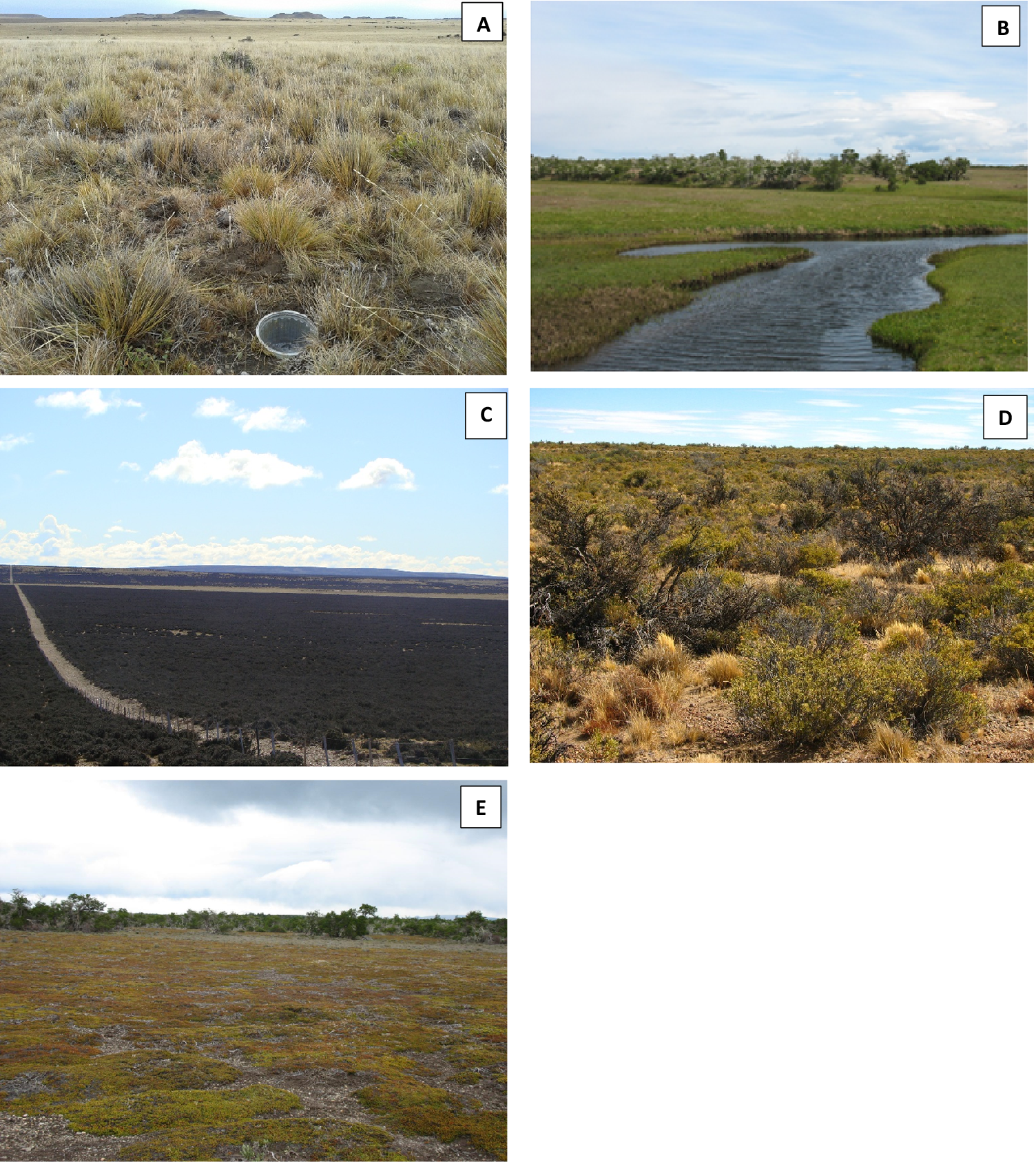 A five-panel photo set displays distinct vegetation types in Santa Cruz, Argentina, including grassland, wetland, shrubland, thicket, and dwarf-shrubland. See long description.