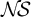 upper N backslash exclamation mark upper S