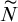 upper N overtilde
