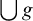 backslash leftcup g