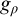 g Subscript rho