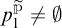 p sub 1 super p tilde is not equal to the empty set