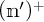 open parenthesis bold n prime close parenthesis to the plus power