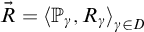 ⃑ upper R equals less than double struck upper P Subscript gamma Baseline comma upper R Subscript gamma Baseline greater than Subscript gamma element of upper D