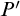 upper P prime