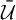 script upper U overbar