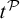 t Superscript script upper P