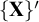 StartSet bold upper X EndSet prime