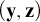 left parenthesis bold y comma bold z right parenthesis