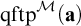 backslash operatorname q f t p Superscript script upper M Baseline left parenthesis bold a right parenthesis