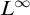 upper L Superscript infinity