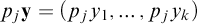 p Subscript j Baseline bold y equals left parenthesis p Subscript j Baseline y 1 comma midline horizontal ellipsis comma p Subscript j Baseline y Subscript k Baseline right parenthesis