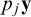 p Subscript j Baseline bold y