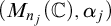 left parenthesis upper M Subscript n Sub Subscript j Subscript Baseline left parenthesis double struck upper C right parenthesis comma alpha Subscript j Baseline right parenthesis