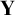 bold upper Y