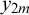 y Subscript 2 m