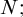 upper N semicolon