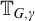 upper T Subscript upper G comma gamma