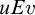 u upper E v