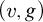 left parenthesis v comma g right parenthesis