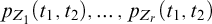 p Subscript upper Z 1 Baseline left parenthesis t 1 comma t 2 right parenthesis comma midline horizontal ellipsis comma p Subscript upper Z Sub Subscript r Subscript Baseline left parenthesis t 1 comma t 2 right parenthesis