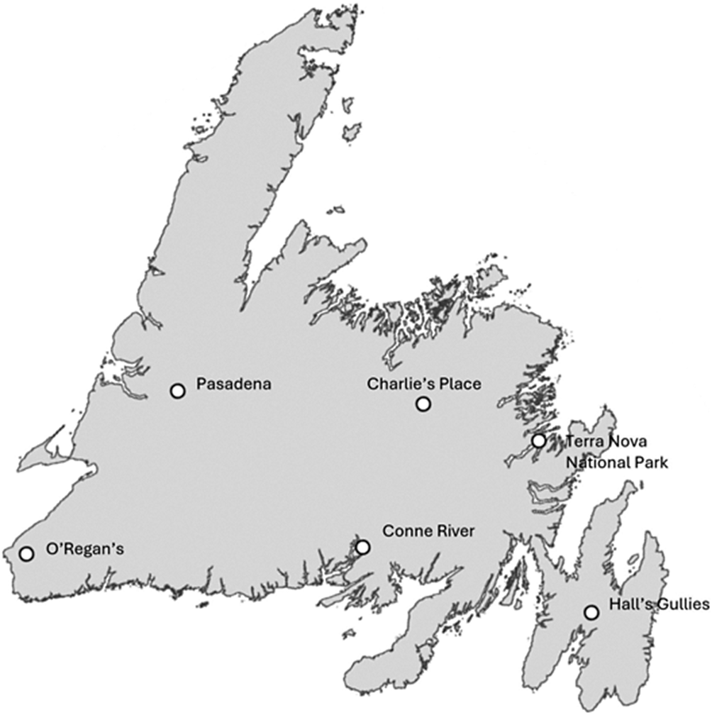 Labeled map of Newfoundland showing Pasadena and O'Regan's on the west coast, Hall's Gullies on the east coast, Conne River on the south coast, and Charlie's Place and Terra Nova National Park in central Newfoundland.