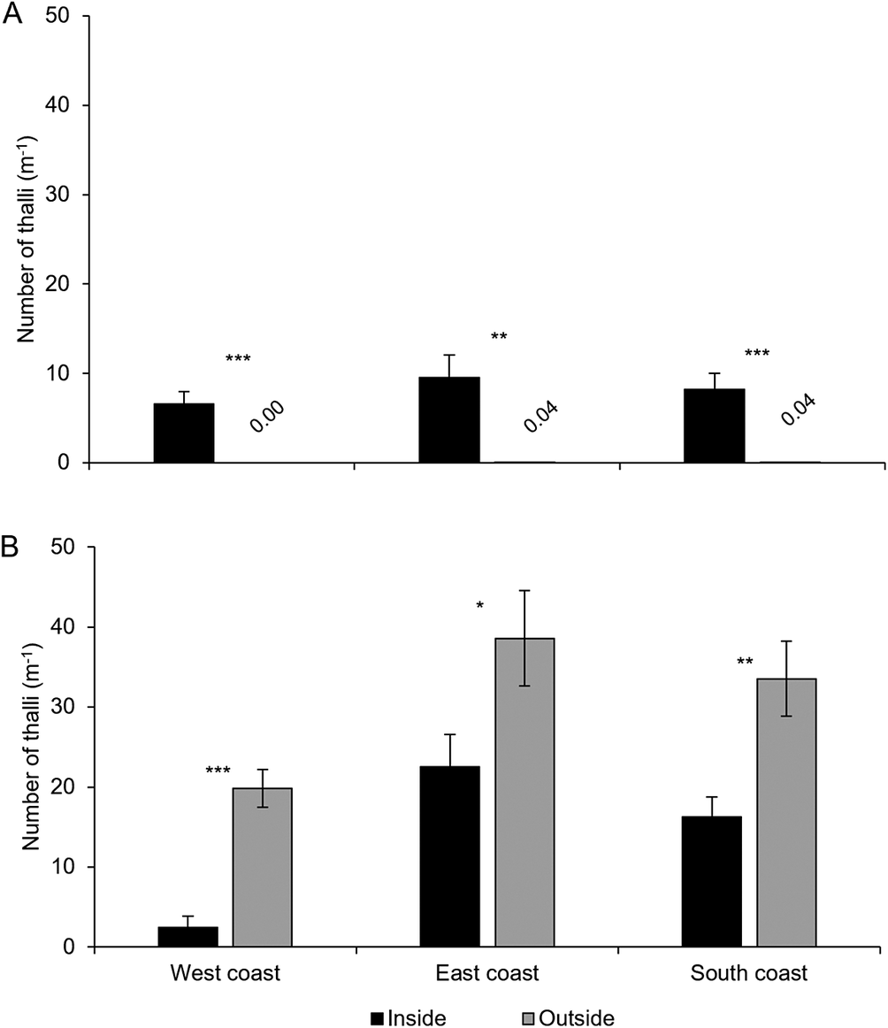 Two-panel bar graph comparing mean thallus abundance of cyanolichens and chlorolichens inside and outside yellow birch dripzones across three Newfoundland regions. See long description.