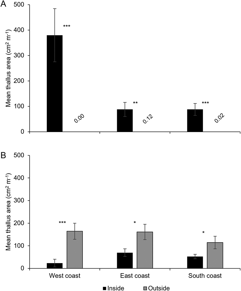 Two-panel bar graph comparing mean thallus area per branch length for cyanolichens and chlorolichens inside and outside the dripzone across three Newfoundland regions. See long description.