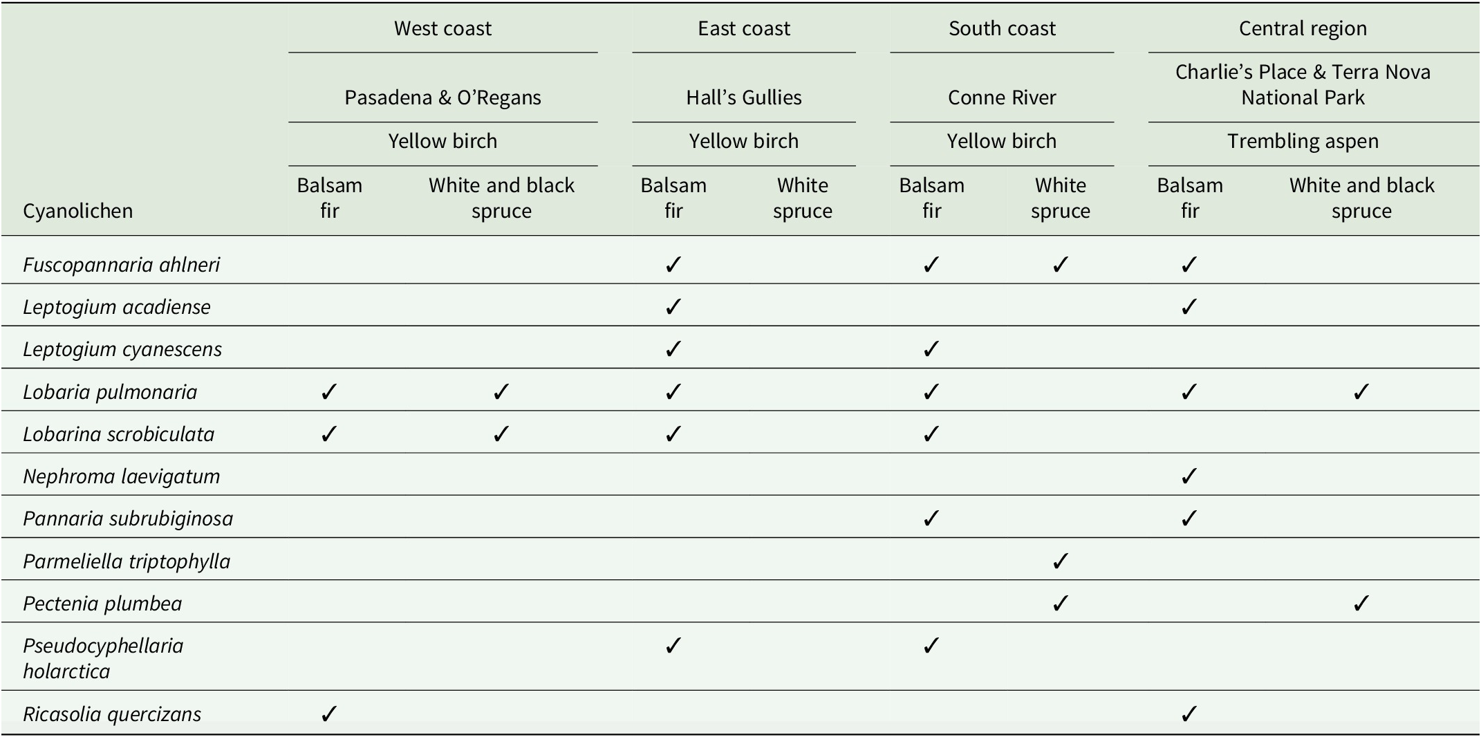 A data table listing cyanolichen species and their presence on conifers beneath broadleaf dripzone trees across four Newfoundland regions. Distribution varies by species and region. See long description.