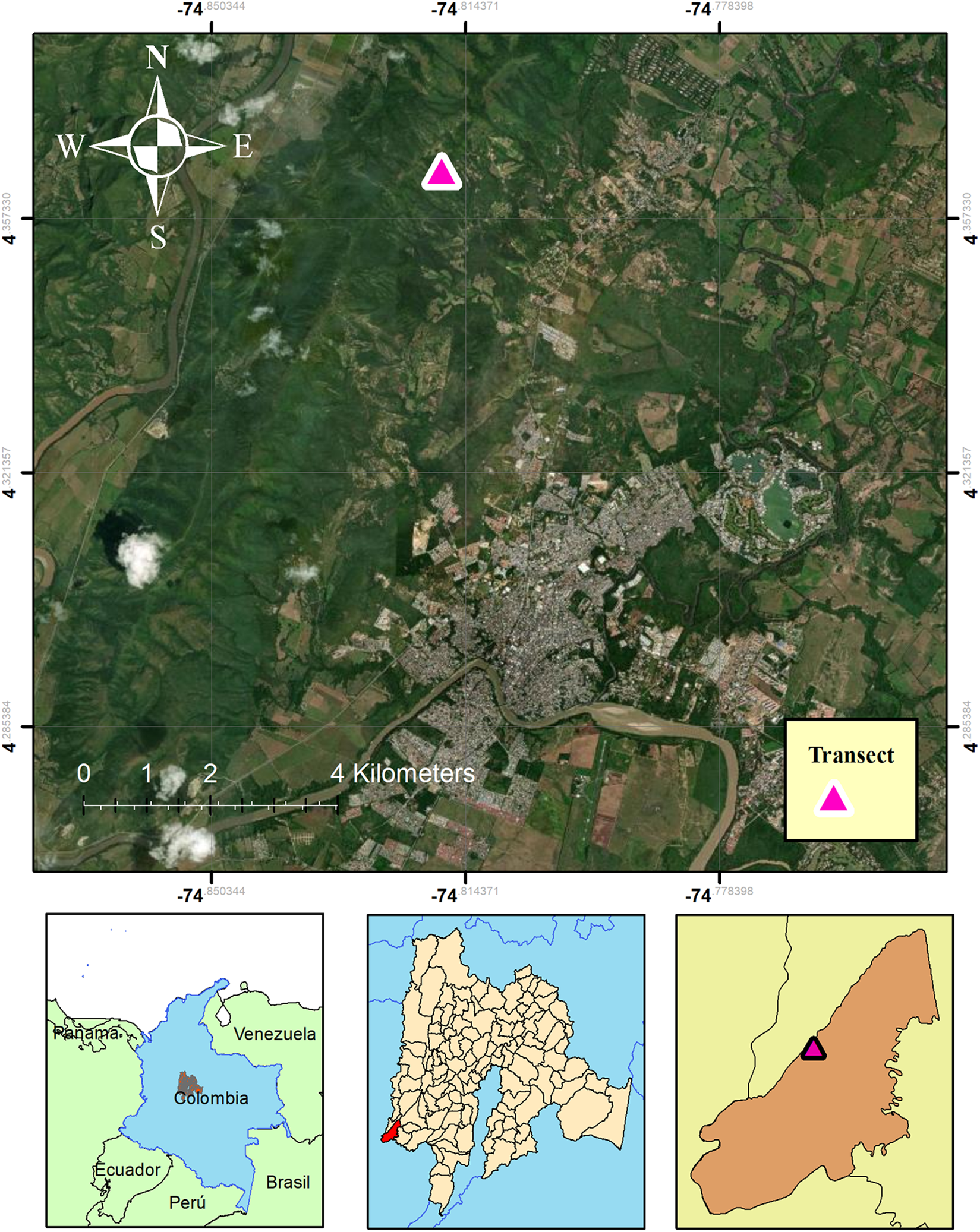 A four-panel map showing the
location of transect 3 in southwest Cundinamarca, Colombia, with a
satellite view and three locator maps at increasing detail. See long
description.