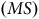 left parenthesis upper M upper S right parenthesis