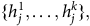 StartSet h Subscript j Superscript 1 Baseline comma ellipsis comma h Subscript j Superscript k Baseline EndSet comma