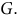 upper G period