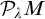 script upper P Subscript lamda Baseline upper M
