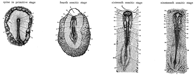 Content of image described in text.