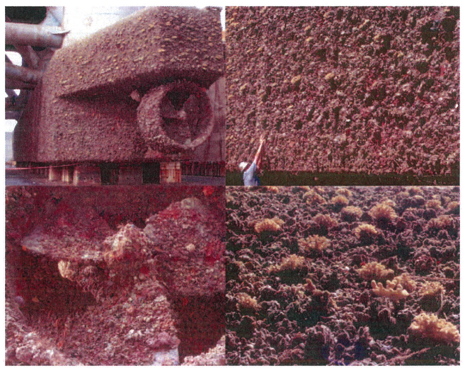 Figure 0