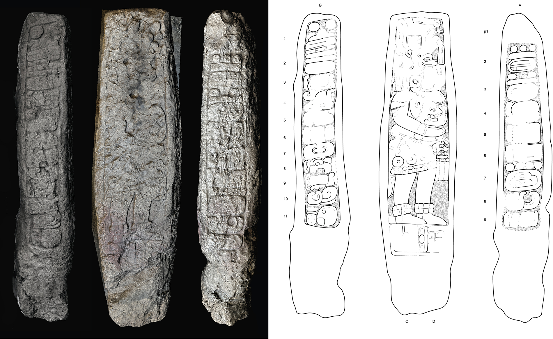 Three-dimensional model and drawing of Stela 46 with inscriptions and ruler effigy. See long description.