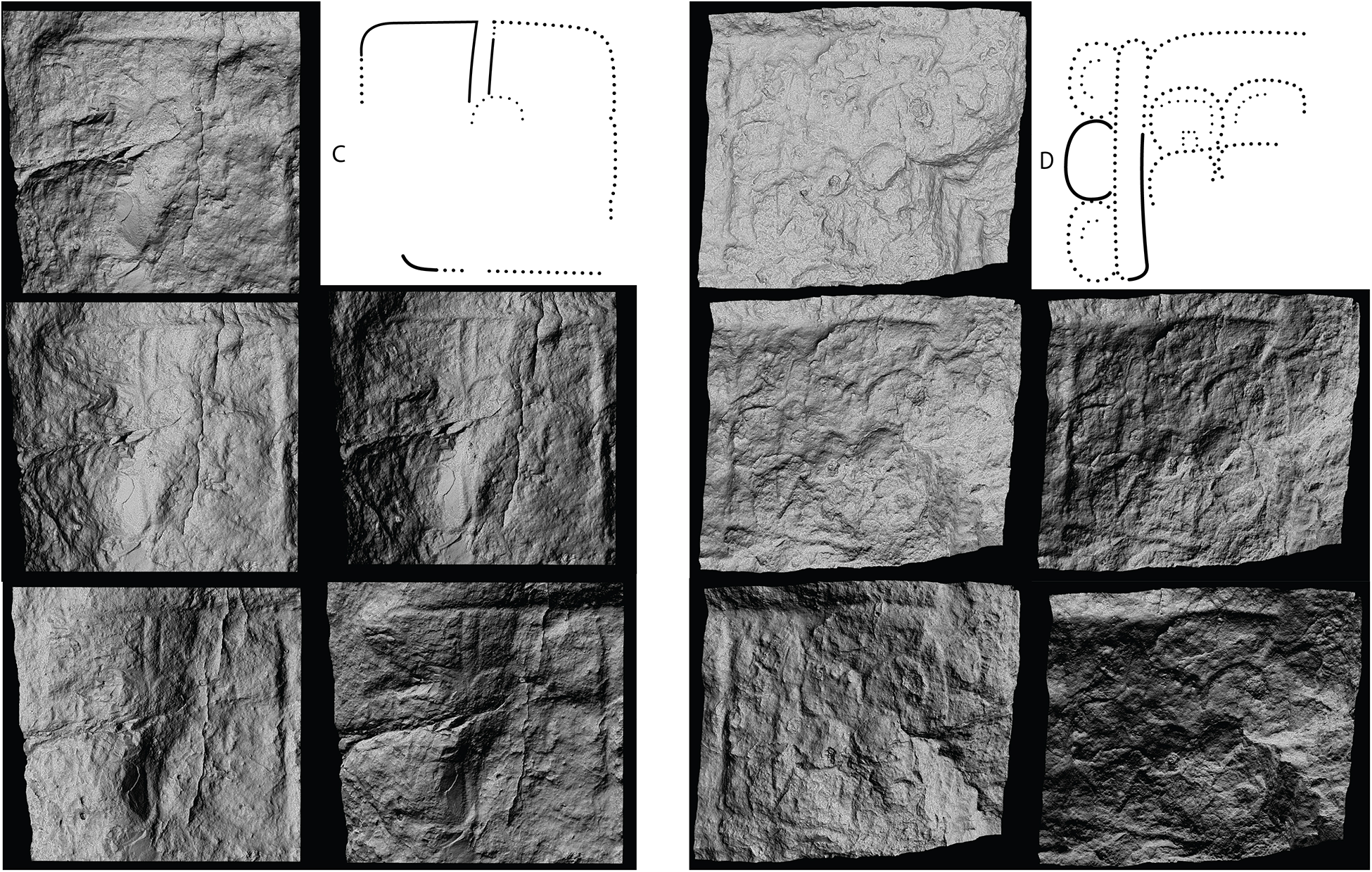 Two sets of stone carvings with glyph outlines labeled C and D. See long description.