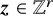 bold italic z element of double struck upper Z Superscript r