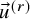 ModifyingAbove u With right arrow Superscript left parenthesis r right parenthesis