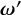 bold italic omega prime