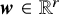 bold italic w element of double struck upper R Superscript r