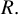upper R period