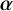 bold italic alpha
