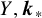 upper Y comma bold italic k Subscript asterisk Baseline