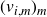 left parenthesis v Subscript i comma m Baseline right parenthesis Subscript m